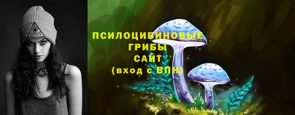 твердый Кинешма