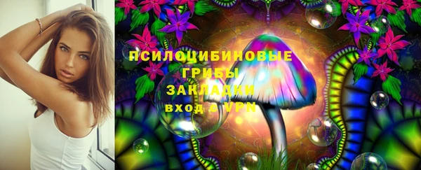 твердый Кинешма