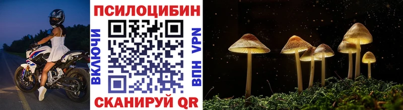 Псилоцибиновые грибы Magic Shrooms  Купить  Городовиковск 